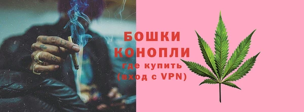 прущие грибы Володарск