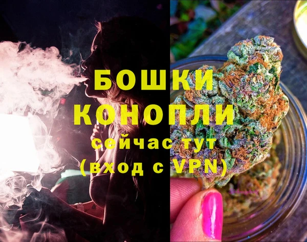 прущие грибы Володарск
