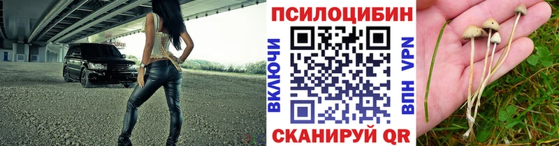 Псилоцибиновые грибы ЛСД  Купить где  Борзя 